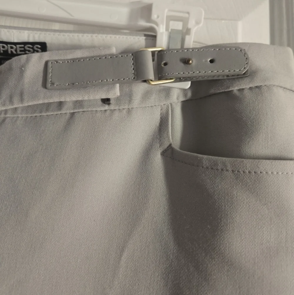 Gray Express Size 6S Dress Pants